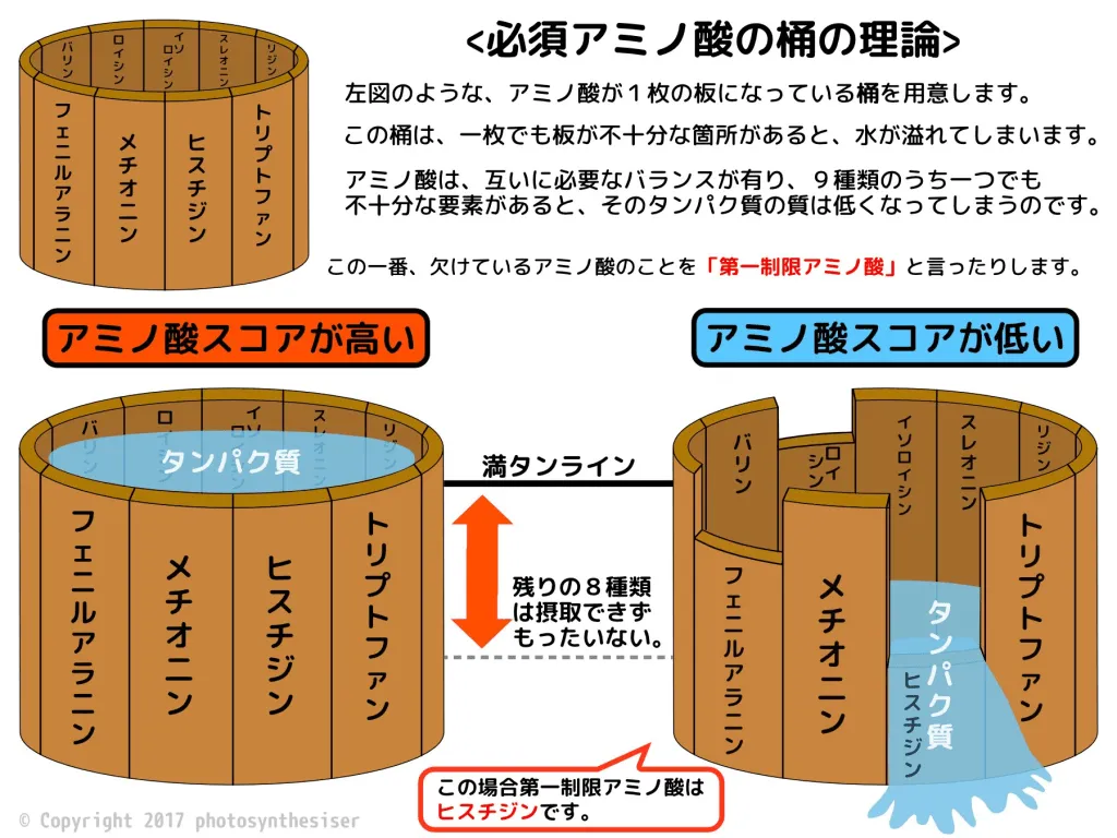 桶の理論 戸田市 | 戸田公園 | 戸田パーソナルジム | 戸田市パーソナルジム | 戸田公園パーソナルジム